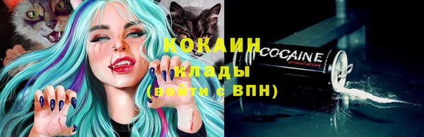 стаф Абаза