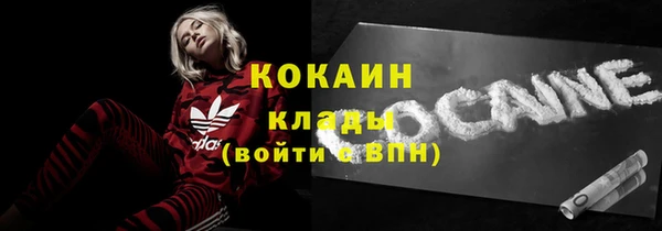 МДПВ Алексин