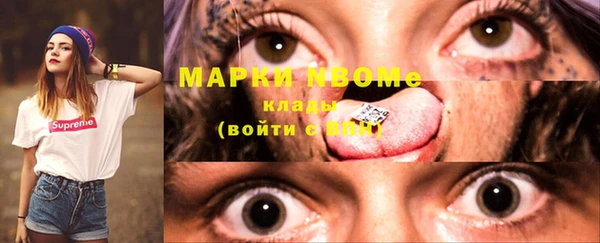 стаф Абаза
