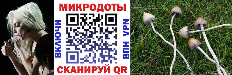 mega онион  Якутск  Псилоцибиновые грибы MAGIC MUSHROOMS 
