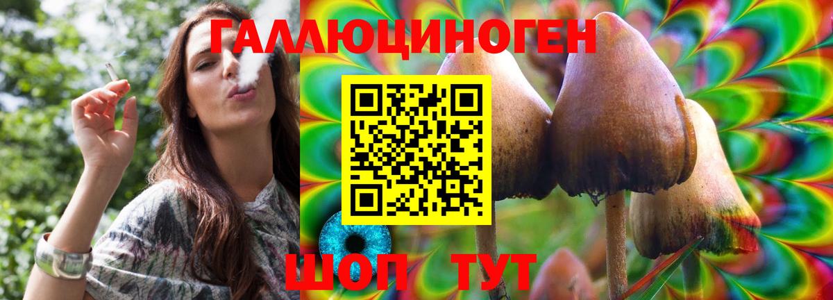 Псилоцибиновые грибы Psilocybe  Вход с VPN  Псилоцибиновые грибы GOLDEN TEACHER  где продают   Якутск 