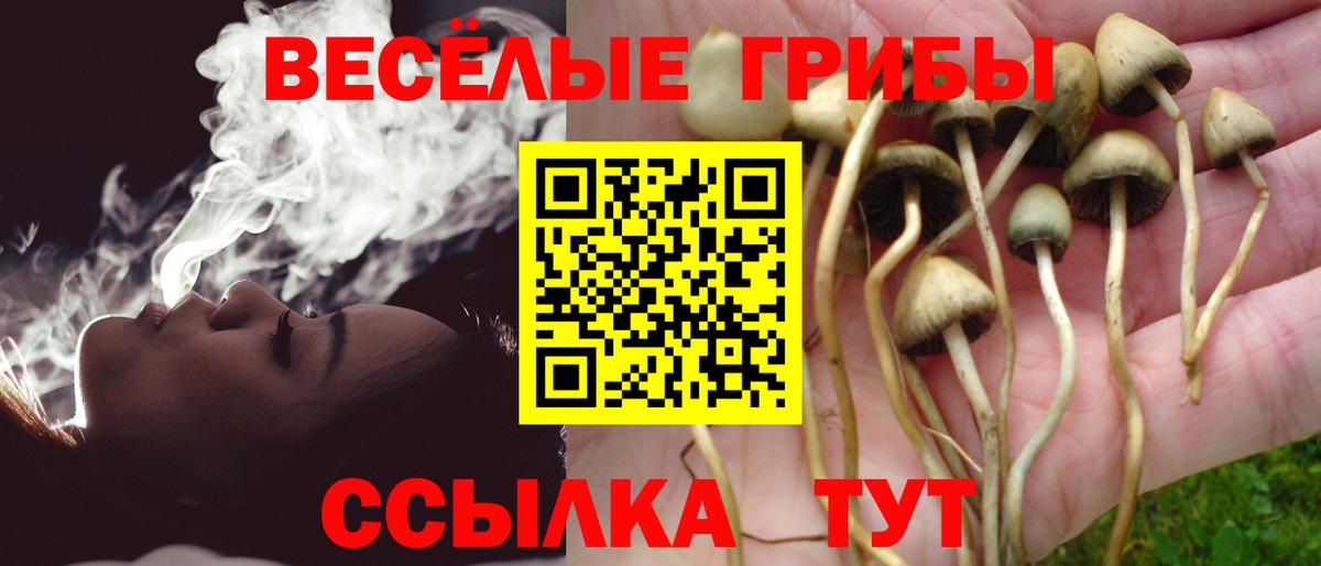 Псилоцибиновые грибы прущие грибы Якутск